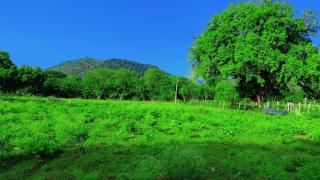 Pithamagan river side cottage - Wodapatti - 5