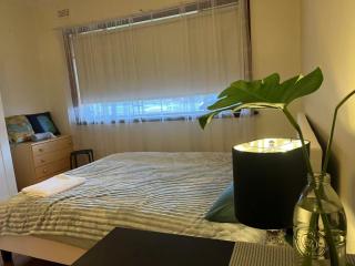 Free Parking 5min Walk to Asian Supermarket Family Room Deakin Uni Quiet Camberwell - Camberwell - 0