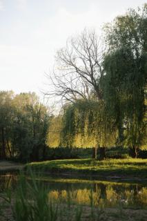 Wild&Free Private Lake - Nagycsepely - 3