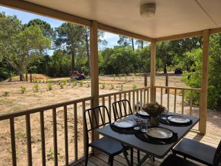 La Vigne - Lecci - 0