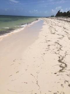 La Grande Pettite Villa - Grand Turk - 3