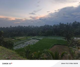 Bale bangket - Kotaraja - 9
