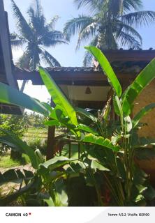 Bale bangket - Kotaraja - 5