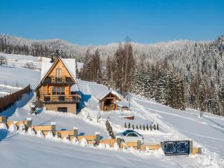 Villa in Nowy Targ with Mountain Views & Pool - Nowy Targ - 2