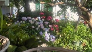 Apartments Anica - 9