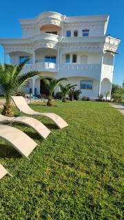 Palm - Oulad Akkou - 7