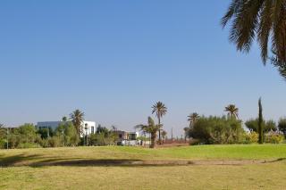 Villa PALM GOLF AMELKIS - Marrakech - 7