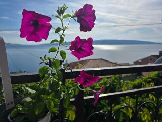 Apartmani PRPIĆ - Senj (Segna) - 5