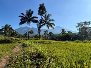Tetebatu Valley Bungalows - 0