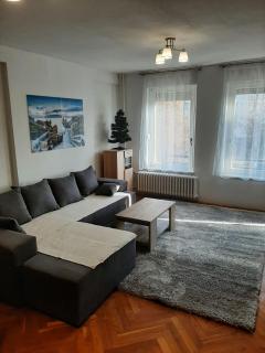 Andrea apartmenat - Novi Sad - 0