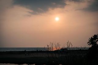 Beach House - Kozhikode - 5
