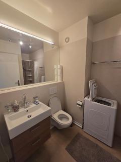 Cozy studio with a terrace - Prilly - 4
