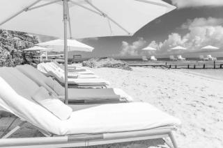 Stunning beachfront apartment - Turtle Cove - 9