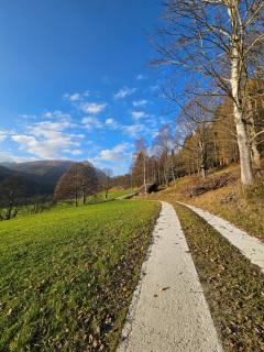 Landhotel Lacknerhof - Mariapfarr - 8