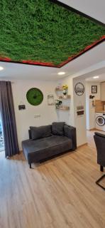 Appartment-Ferienwohnung mit Küche, Bad, kostenlos WLAN, Modern eingerichtet - Pösing - 7