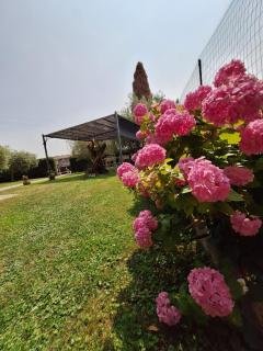 Villa Dolcitalia tra Gardaland e le Terme di Colà Lazise - Colà - 5