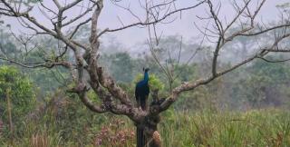 Beyond Ghatts Homestay - Dhali - 1