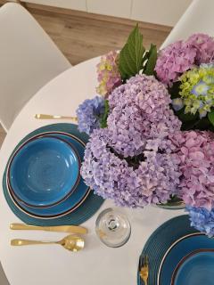 apartman stan Savina - 6