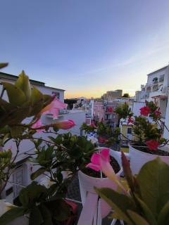 The House Of Butterfly - Procida - 5