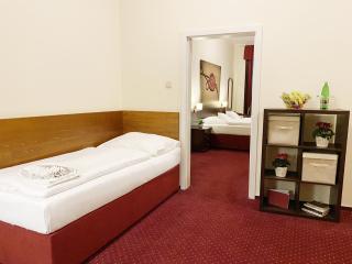 Hotel U Salzmannů - Pilsen - 3