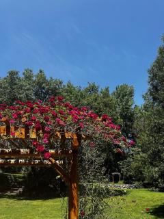 The Lindsay Lodge - - 5