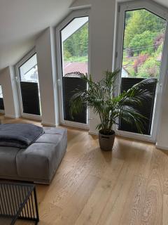 Luxus-Apartment Sigmaringen - Sigmaringen - 2
