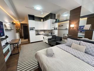Luxury Studio in the Center - Chişinău - 2