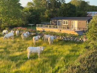 Nice cottage, great view, free parking - 6