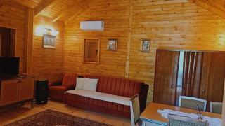 Forest House Crkvine - Kolašin - 9