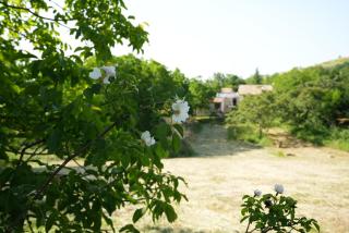 Rustic Italian House - Roccamorice - 7