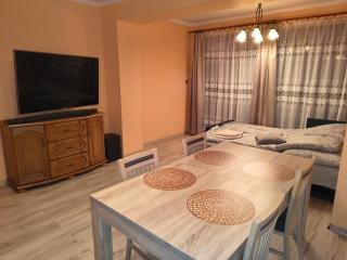 Apartament Krupińskiego - Kattowitz - 0