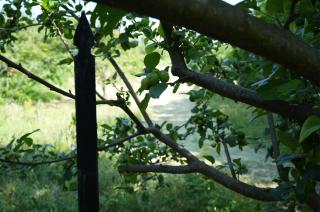 Rustic Italian House - Roccamorice - 8