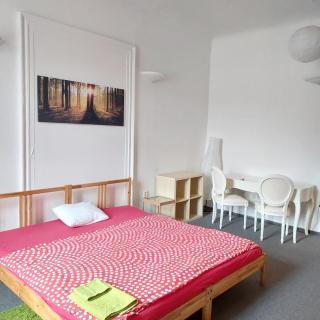 3 min Walk Old Town Center private room C - Prag - 9