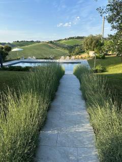 Sogno delle Api - Belvedere Ostrense - 9