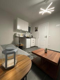 Studio Rénové avec parking et balcon - Fegersheim - 7