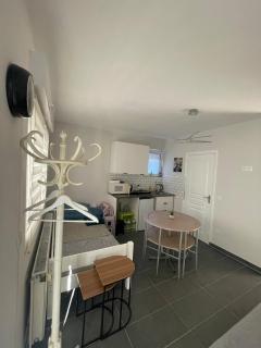 Studio Rénové avec parking et balcon - Fegersheim - 4