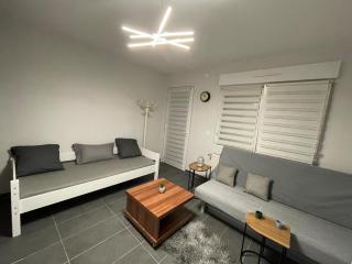 Studio Rénové avec parking et balcon - Fegersheim - 0