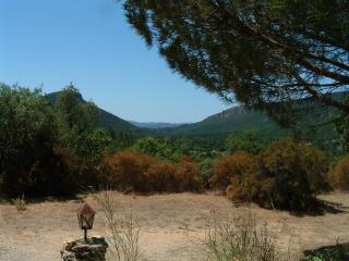 Bagnols-en-Forêt, promo semaine du 30 août, pool et villa privative, 8 personne, très beau site - Bagnols-en-Forêt - 4