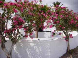 The Mill - Karpathos - 8