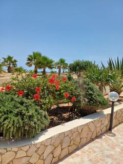 Residence Punta Sottile Lampedusa 150 mt dalla spiaggia cala francese - Lampedusa - 9