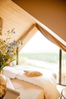 Ecohome Jutter 8 and baby Zeezand Recreatie - 't Zand - 4