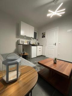 Studio Rénové avec parking et balcon - Fegersheim - 2