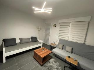 Studio Rénové avec parking et balcon - Fegersheim - 1