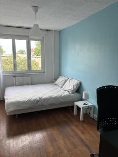 Appartement des merveilles - Vénissieux - 5