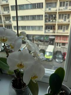 Apartment 23 - Prag - 4