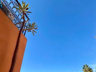Riad Alchimiste - Riad privatif au Cœur de Marrakech Medina - Marrakech - 9