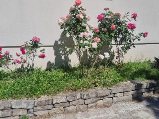 Gîtes Boisé en Cévennes - Ô Jardin d'À Côté - Avèze - 1