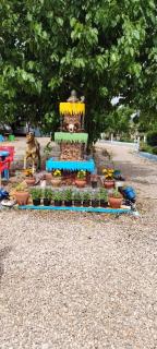 Motel Ain Mersa - Ifrane - 9