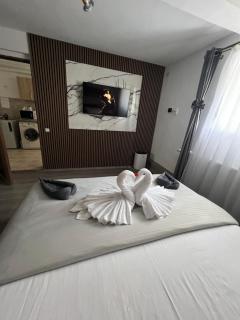 Studio Anca-old town Sibiu - 1