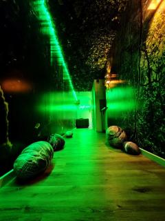 Jungle Room - Sauna, Jacuzzi, Cinéma - Hyper Centre - Troyes - 4